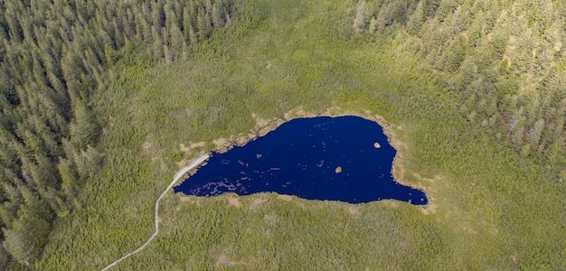 Сложная задача на логику от Альберта Эйнштейна