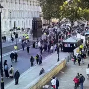 Акция протеста в Британии закончилась задержанием активистов