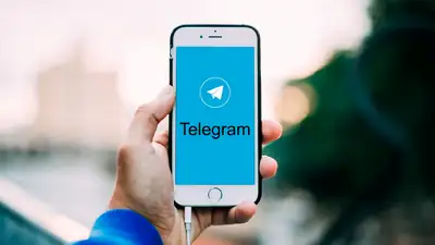 ООН назвала Telegram “местом для преступных группировок”