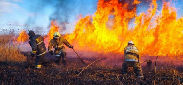 В Карагандинской области потушили пожар, в котором погиб спасатель