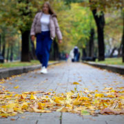 В среду в Москве резко похолодает