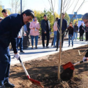 “Всеказахстанский день посадки деревьев” проходит в Астане