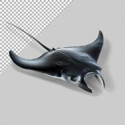 Мощный игровой смартфон Black Shark 3s