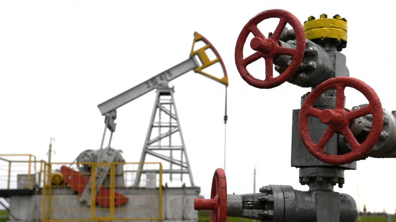 Правительство рассказало о мерах борьбы с "серым" экспортом нефтепродуктов