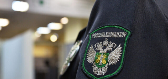 Прогноз Россельхознадзора о вспышке ящура в ЕС подтвердили в Венгрии