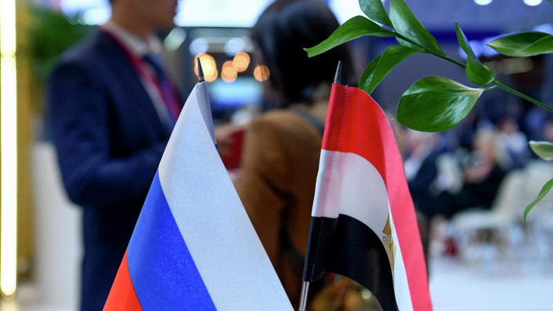 Россия и Египет подписали договор о передаче земли для промзоны