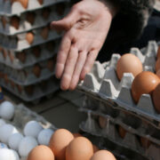 Чукотка вышла на полную самообеспеченность яйцами