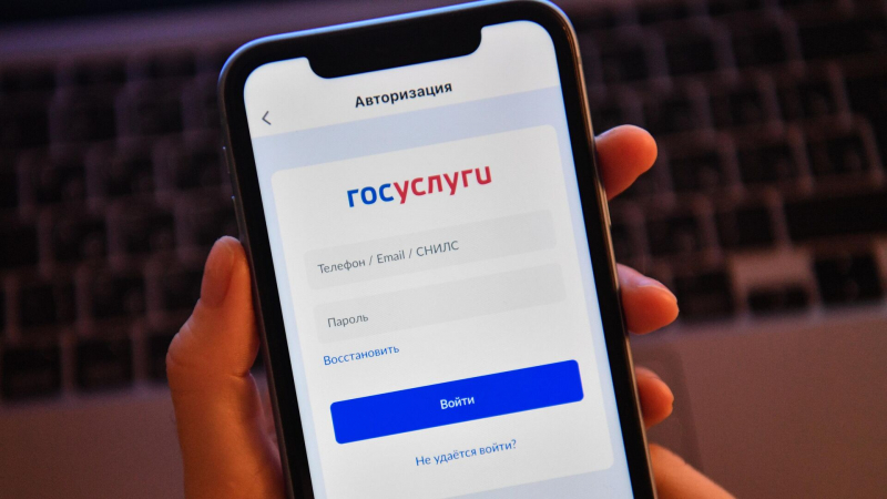 На Госуслугах можно будет оформить налоговый вычет на учебу, заявил Шадаев