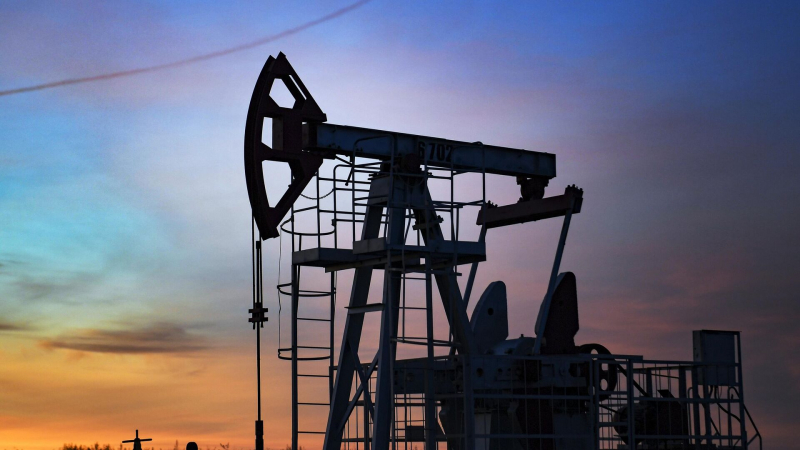 Россия не должна все покупать за нефть и газ, заявил Путин