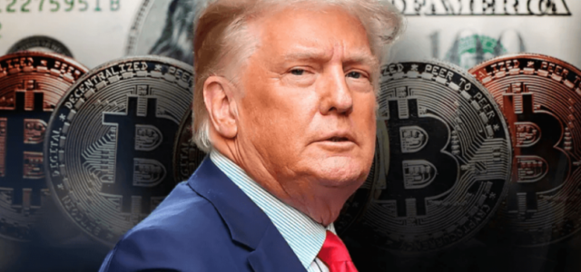 Члены совета директоров американской биткоин-компании, поддерживаемой Трампом, скупают акции после публикации отчета о доходах