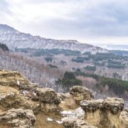 Секреты успеха на пути к достижениям и благополучию