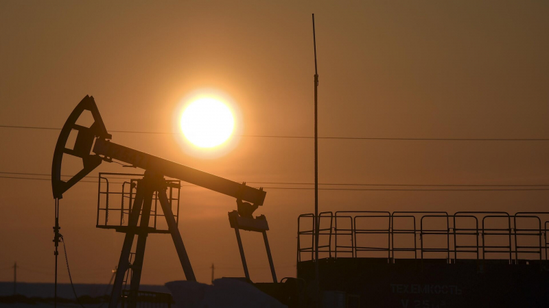 Эксперт рассказал о смягчении нефтяной политики ОПЕК+