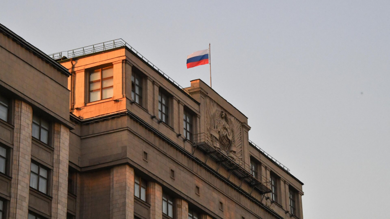 Госдума поддержала в первом чтении изменения в госбюджете на 2025 год