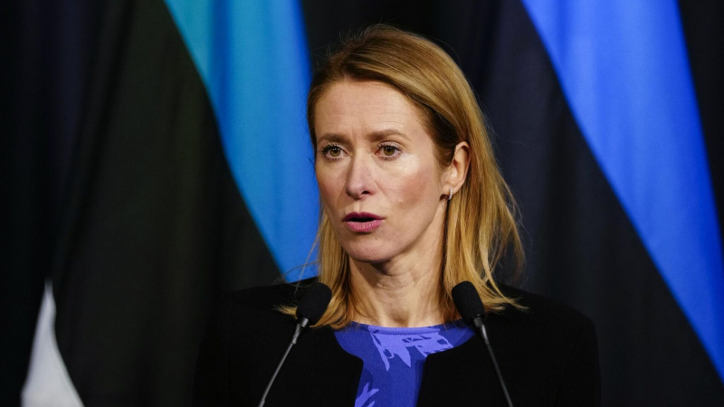 Новая глава дипломатии ЕС встала на сторону участников беспорядков в Грузии