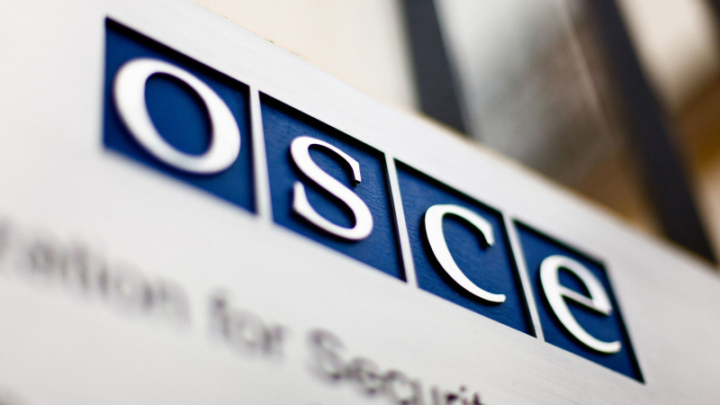 Председатель ОБСЕ прокомментировал возможную приостановку членства России