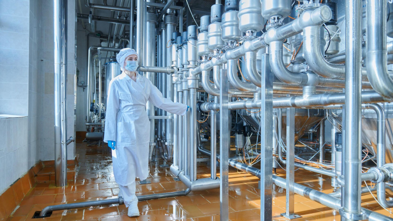 Производство пищевой продукции на Ставрополье выросло на 12%