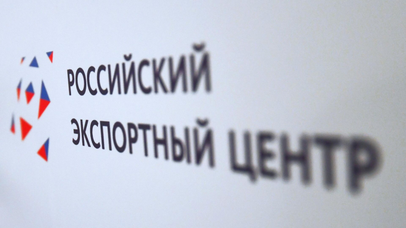 РЭЦ и Новгородская область объединяют усилия для поддержки экспортеров