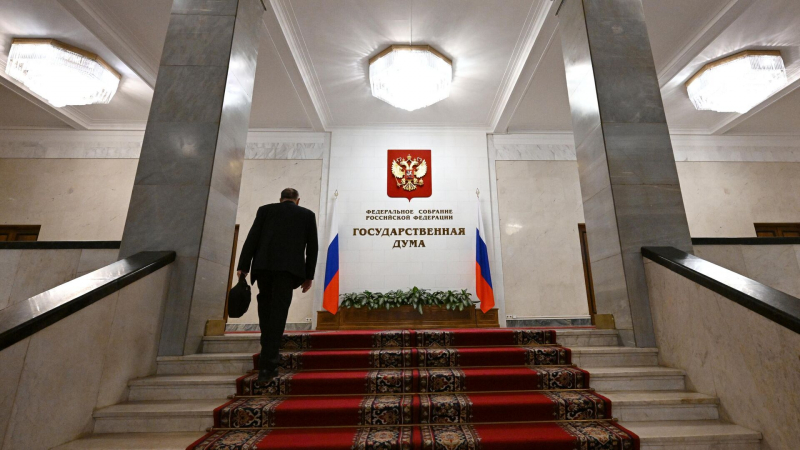 В Госдуме предложили ввести пошлины на переводы мигрантов